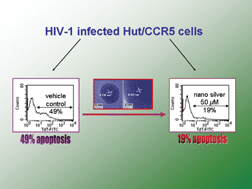 Graphical abstract: Silver nanoparticles fabricated in Hepes buffer exhibit cytoprotective activities toward HIV-1 infected cells