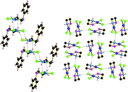Graphical abstract: Hydrogen-bonded networks from novel platinum(ii) dimers