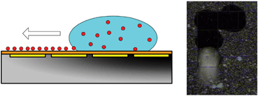 Graphical abstract: Microparticle sampling by electrowetting-actuated droplet sweeping