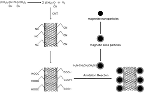 Graphical abstract: Preparation, characterization and application of magnetic silica nanoparticle functionalized multi-walled carbon nanotubes