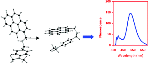 Graphical abstract: Exciplex fluorescence emission from simple organic intramolecular constructs in non-polar and highly polar media as model systems for DNA-assembled exciplex detectors