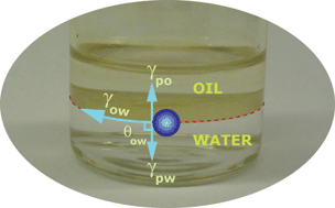 Graphical abstract: The water/oil interface: the emerging horizon for self-assembly of nanoparticles