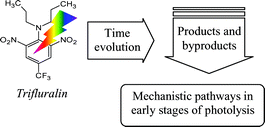 Graphical abstract: Time evolution and competing pathways in photodegradation of trifluralin and three of its major degradation products