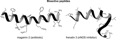 Graphical abstract: Host-defence peptides from the glandular secretions of amphibians: structure and activity