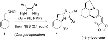 Graphical abstract: Intramolecular bromo-amination of 1,4-cyclohexadiene aminal: one-pot discrimination of two olefins and concise asymmetric synthesis of (−)-γ-lycorane