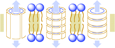 Graphical abstract: Synthetic ion channels and pores (2004–2005)