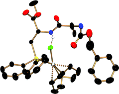 Graphical abstract: Coordination chemistry of phosphanyl amino acids: solid state and solution structures of neutral and cationic rhodium complexes