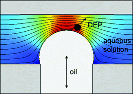 Graphical abstract: DC-dielectrophoretic separation of microparticles using an oil droplet obstacle