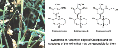 Graphical abstract: Phytotoxins produced by microbial plant pathogens