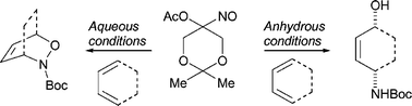 Graphical abstract: Intermolecular nitroso Diels–Alder cycloaddition of α-acetoxynitroso derivatives in aqueous medium