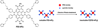 Graphical abstract: Formation of insoluble perylenetetracarboxylic diimide films by electro- or photo-crosslinking of pyrrole units