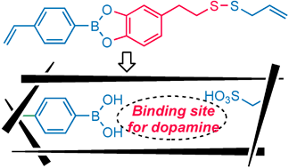 Graphical abstract: Dopamine selective molecularly imprinted polymers via post-imprinting modification