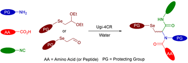 Graphical abstract: One pot synthesis of selenocysteine containing peptoid libraries by Ugi multicomponent reactions in water