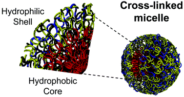 Graphical abstract: Cross-linked block copolymer micelles: functional nanostructures of great potential and versatility