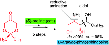 Graphical abstract: A direct organocatalytic entry to sphingoids: asymmetric synthesis of d-arabino- and l-ribo-phytosphingosine
