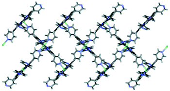 Graphical abstract: A coordination polymer supramolecular isomer formed from a single building block: an unexpected porphyrin ribbon constructed from zinc(tetra(4-pyridyl)porphyrin)