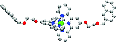 Graphical abstract: Ligands and complexes with supramolecular aromatic–aromatic interactions: iron(ii) and ruthenium(ii) complexes of 2,2′:6′,2″-terpyridines with pendant naphthalene groups