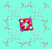 Graphical abstract: An adamantane-based tetraphosphonic acid that forms an open diamondoid net via a hydrogen-bonded phosphonic acid–water cluster