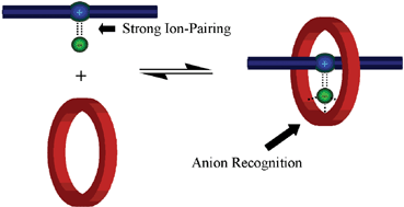 Graphical abstract: Anion-templated assembly of interpenetrated and interlocked structures