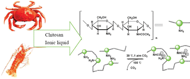 Graphical abstract: Chitin and chitosan dissolved in ionic liquids as reversible sorbents of CO2