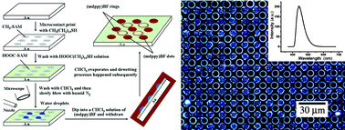 Graphical abstract: Fabricating a binary pattern of ordered two-dimensional luminescent (mdppy)BF arrays by dewetting