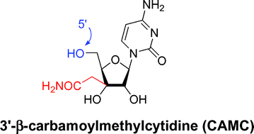 Graphical abstract: Synthesis of 3′-β-carbamoylmethylcytidine (CAMC) and its derivatives as potential antitumor agents
