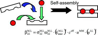 Graphical abstract: Simple thermodynamics for unravelling sophisticated self-assembly processes