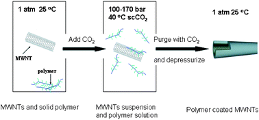 Graphical abstract: Coating carbon nanotubes with polymer in supercritical carbon dioxide