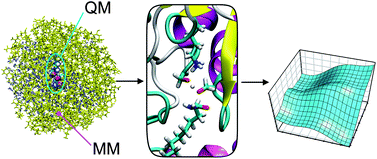 Graphical abstract: Computational enzymology: insight into biological catalysts from modelling