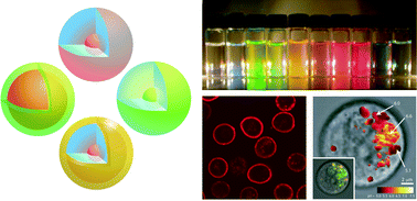Graphical abstract: Fluorescent core–shell silica nanoparticles: towards “Lab on a Particle” architectures for nanobiotechnology