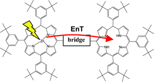 Graphical abstract: Electronic interactions and energy transfer in oligothiophene-linked bis-porphyrins