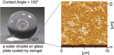 Graphical abstract: Construction of superhydrophobic surfaces by fibrous aggregation of perfluoroalkyl chain-containing organogelators