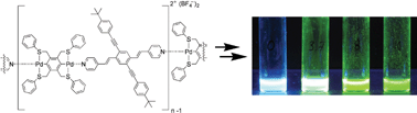 Graphical abstract: Supramolecular cruciforms