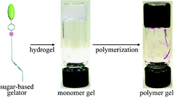 Graphical abstract: Hydrogel behavior of a sugar-based gelator by introduction of an unsaturated moiety as a hydrophobic group