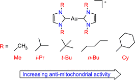 Graphical abstract: Cationic, linear Au(i) N-heterocyclic carbene complexes: synthesis, structure and anti-mitochondrial activity