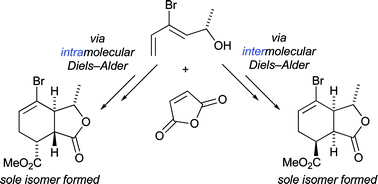 Graphical abstract: Enhanced stereocontrol in Diels–Alder reactions of chiral dienols