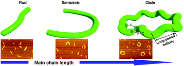 Graphical abstract: Switching in molecular shapes: main chain length driven rod–circle transition of isolated helical polysilanes