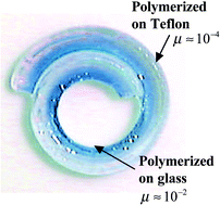 Graphical abstract: Friction and lubrication of hydrogels—its richness and complexity
