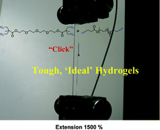 Graphical abstract: Synthesis of well-defined hydrogel networks using Click chemistry