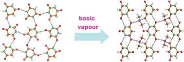 Graphical abstract: Gas–solid reactions between the different polymorphic modifications of barbituric acid and amines