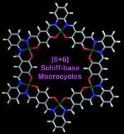 Graphical abstract: [6 + 6] Schiff-base macrocycles with 12 imines: giant analogues of cyclohexane