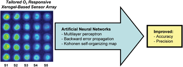 Graphical abstract: Tailored xerogel-based sensor arrays and artificial neural networks yield improved O2 detection accuracy and precision