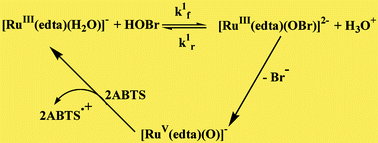 Graphical abstract: Kinetics and mechanism of the reaction of [RuIII(edta)(H2O)]− with HOBr to form an intermediate RuV [[double bond, length as m-dash]] O complex in aqueous solution