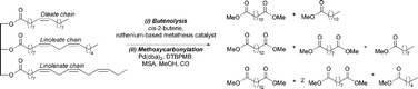 Graphical abstract: Preparation of terminal oxygenates from renewable natural oils by a one-pot metathesis–isomerisation–methoxycarbonylation–transesterification reaction sequence