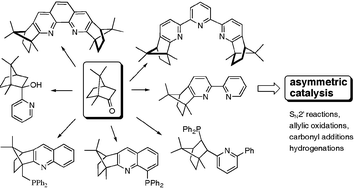 Graphical abstract: Synthesis and application in asymmetric catalysis of camphor-based pyridine ligands