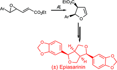 Graphical abstract: The dihydrofuran template approach to furofuran synthesis