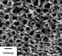 Graphical abstract: A perspective on nanophase materials for orthopedic implant applications