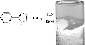 Graphical abstract: Gelation of La(iii) cations promoted by 5-(2-pyridyl)tetrazolate and water