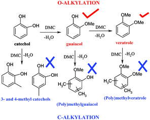 Graphical abstract: Catechol O-methylation with dimethyl carbonate over different acid–base catalysts