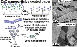 Graphical abstract: Preparation and characterization of ZnO nanoparticles coated paper and its antibacterial activity study
